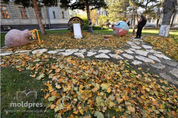 FOTO // O expoziție în aer liber a fost instalată 