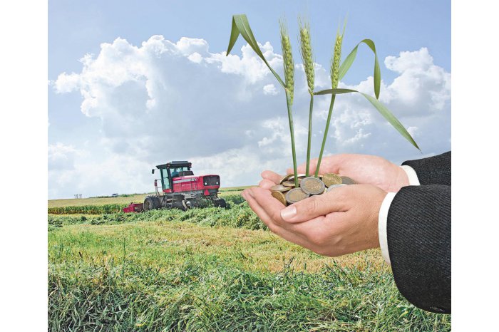 De la începutul acestui an, sectorul agricol a beneficiat de un sprijin financiar de peste 1,7 mlrd de lei